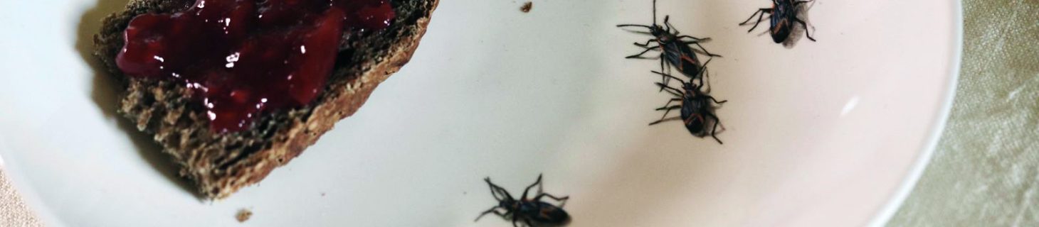 orizzontale_disturbo